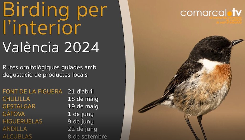 La Font de la Figuera obrirà el programa “Birding per l’Interior”