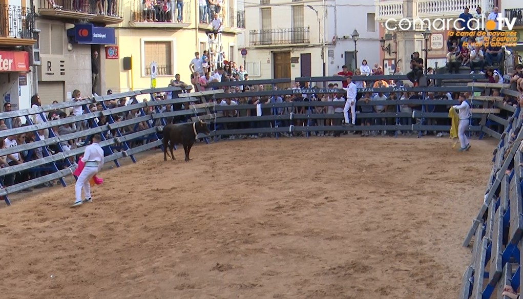 Festa taurina a la Font de la Figuera