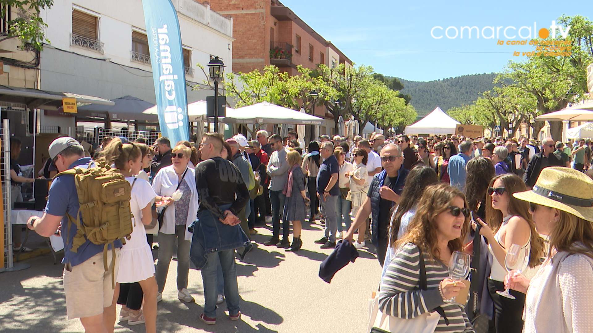 XI Mostra Terres dels Alforins a Fontanars