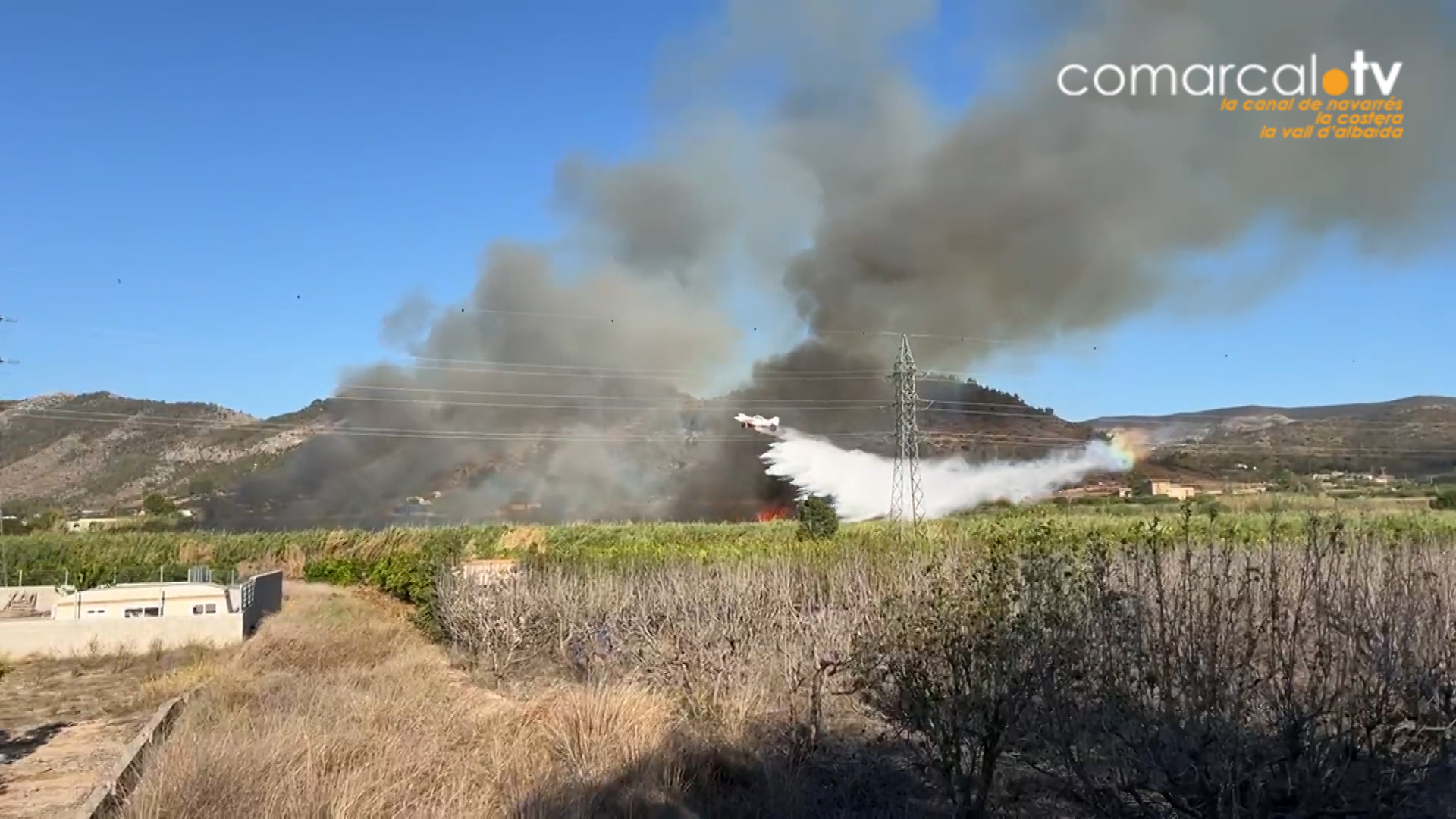 Torna a incendiar-se la zona de canyar prop del riu Cànyoles a Canals