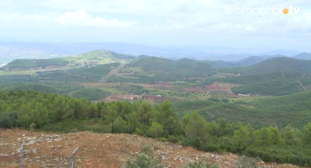Vallada neteja la seua serra per a prevenir incendis forestals