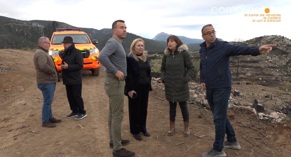La Diputació de València visita la zona forestal de Terrateig