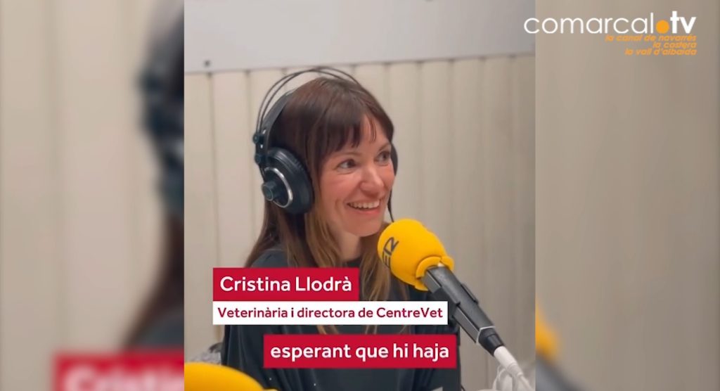 El sector veterinari celebra la implantació del grau a Ontinyent
